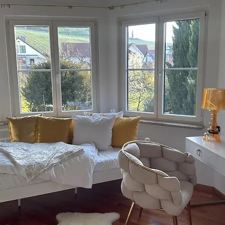 Wellness 4 Rent Near Basel, Freiburg & Colmar, Indoor Pool, Sauna, Garden & Thermal Access